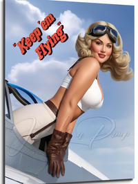 Custom Pin Up Illustration